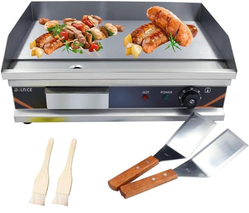 Dulnice Plancha Électrique Professionnelle en Inox 3000W