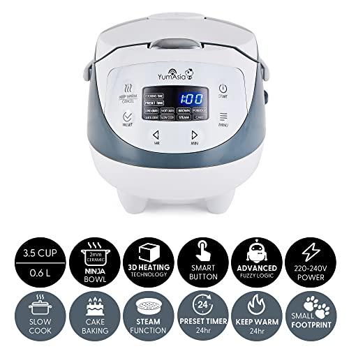 Yum Asia Panda Mini Cuiseur à Riz Intelligent avec Bol Céramique