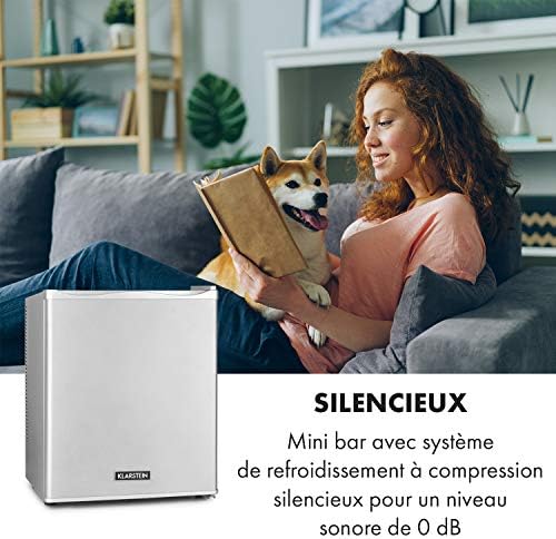 Klarstein Mini Bar Réfrigérateur de Chambre Silencieux 30L