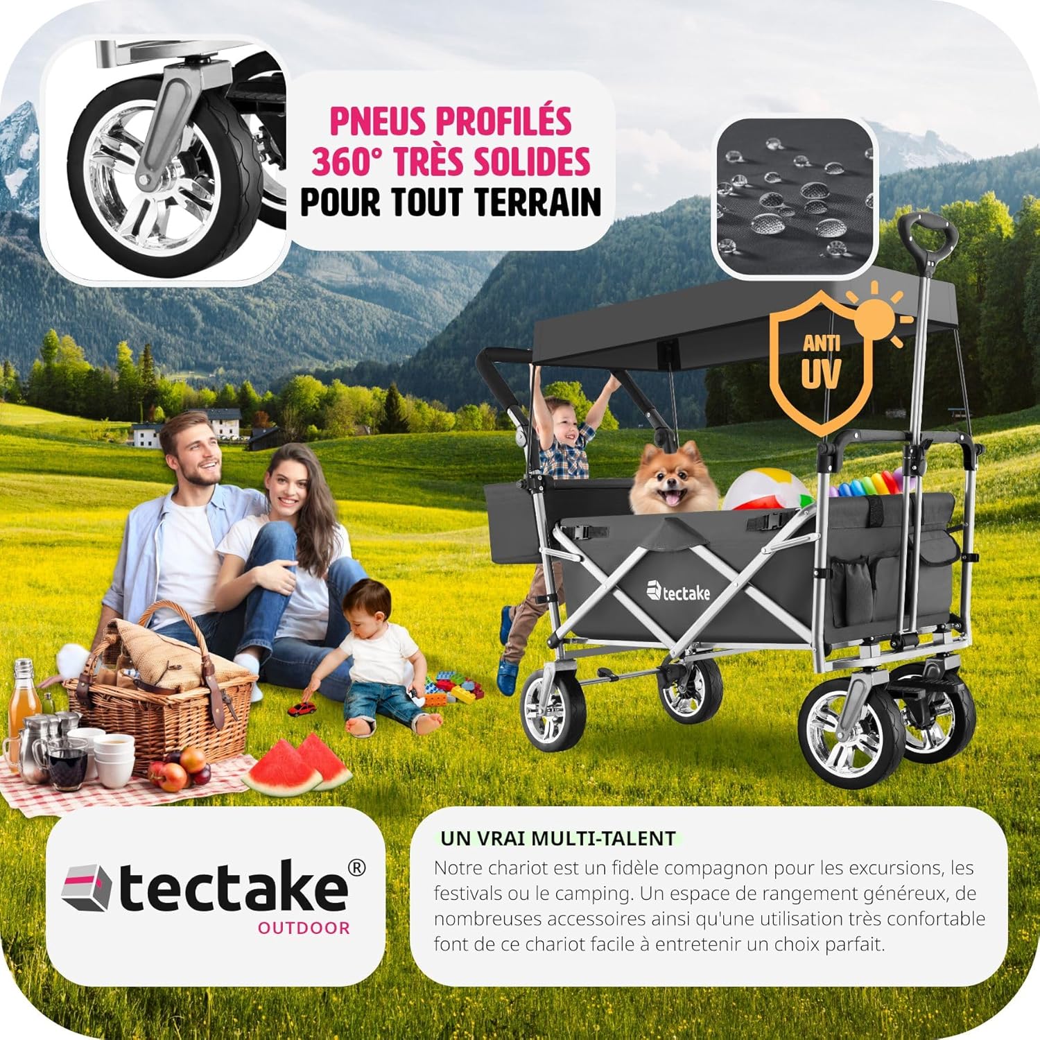 tectake Chariot de Transport Pliable de Jardin avec Toit Amovible Gris