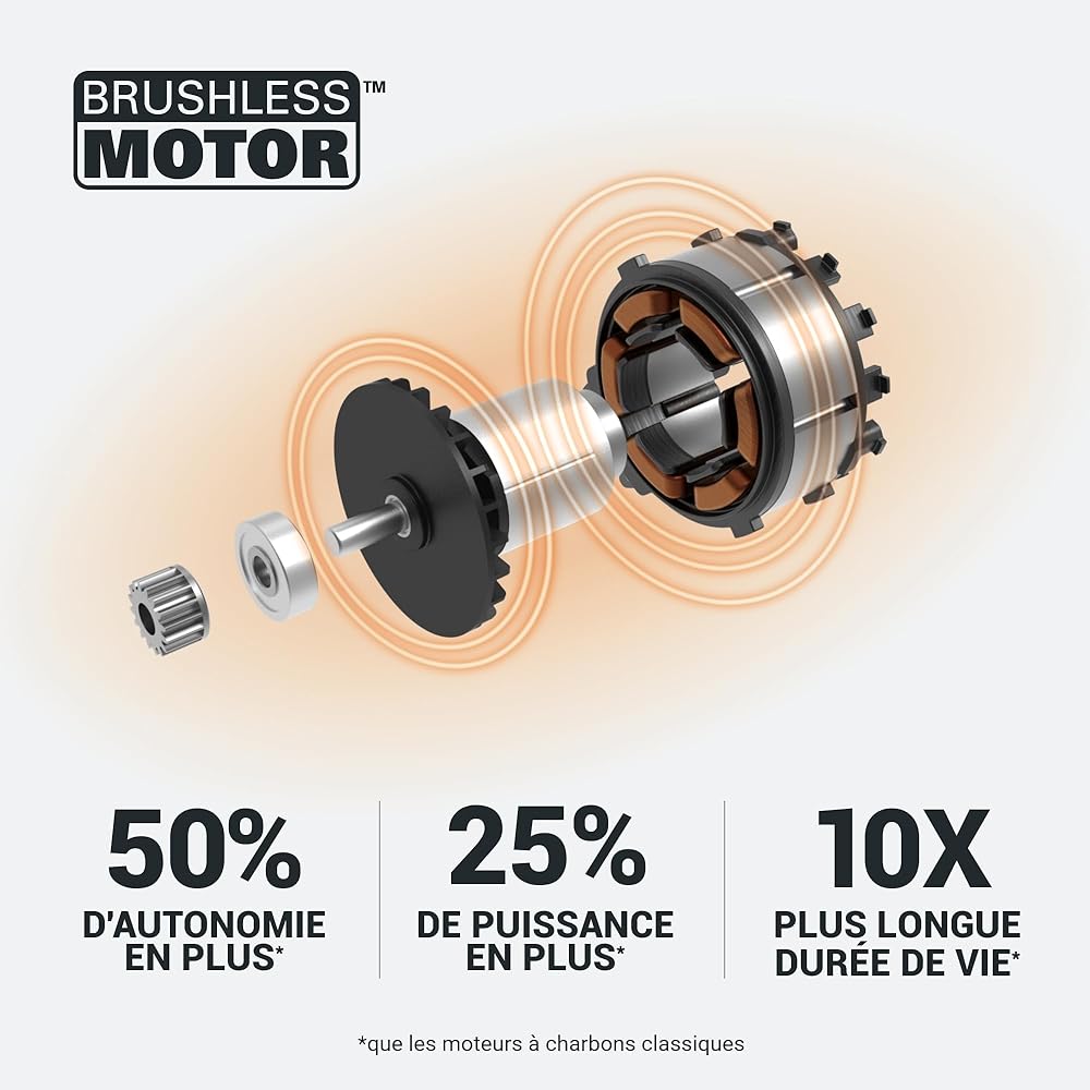 Worx WG583E.9 Aspirateur-Souffleur de Feuilles sans Fil Brushless 40V