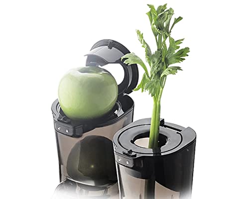 Kuvings B9700 Extracteur de Jus Vertical à Rotation Lente Gris Mat